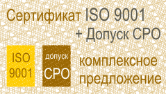  ISO 9000 +  